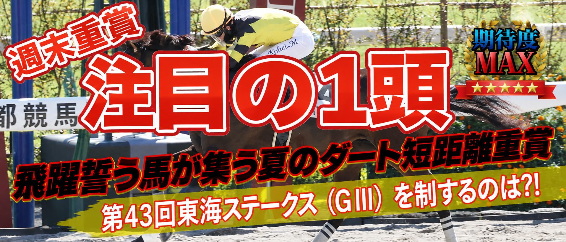東海ステークス 注目の一頭 ドンインザムード